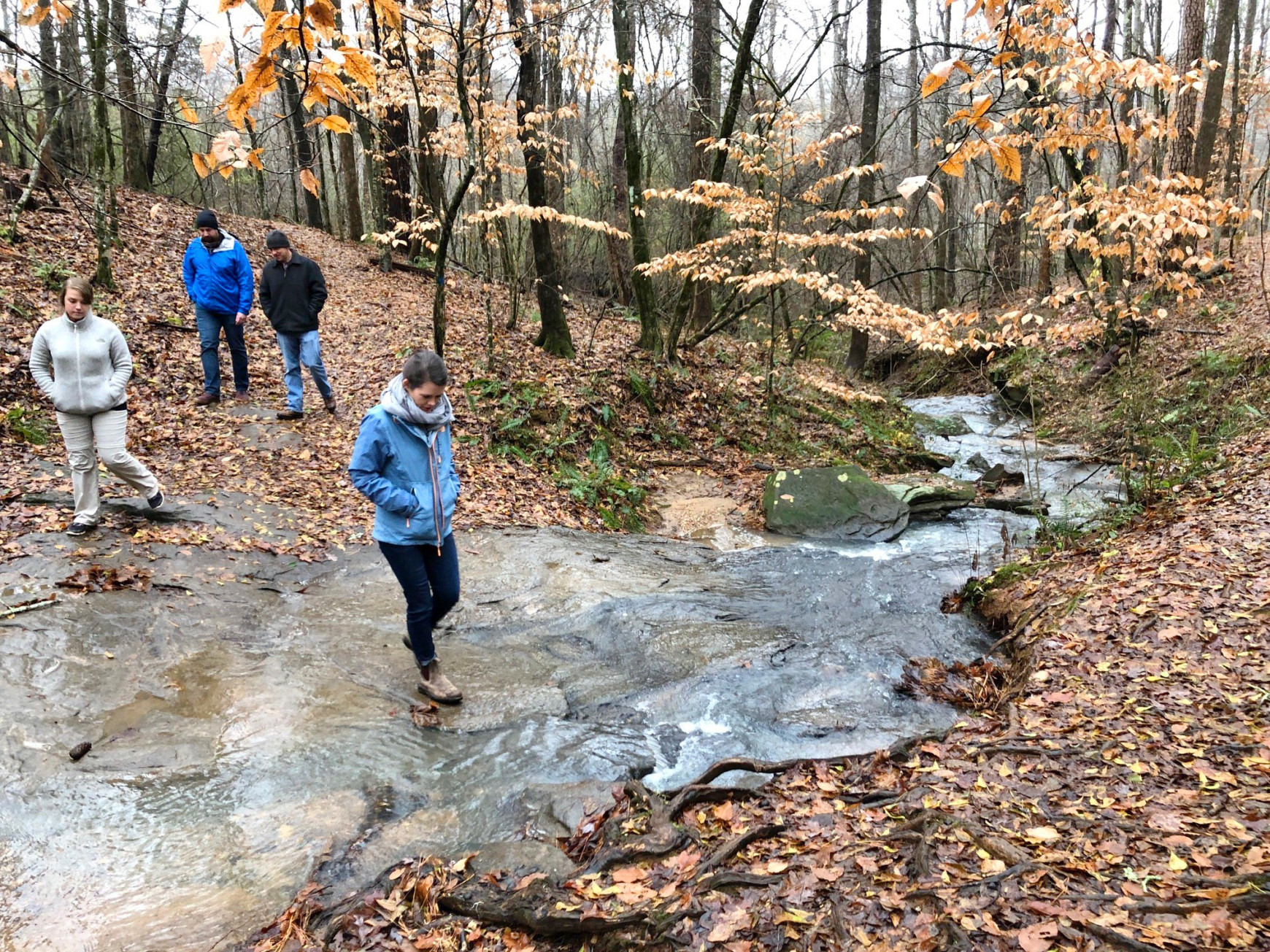 Chattahoochee River Greenway Study: Driving Tour - SCAPE