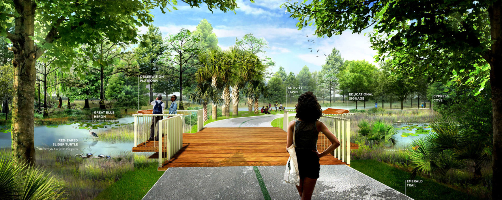 McCoy's Creek Recreation and Restoration Plan - SCAPE