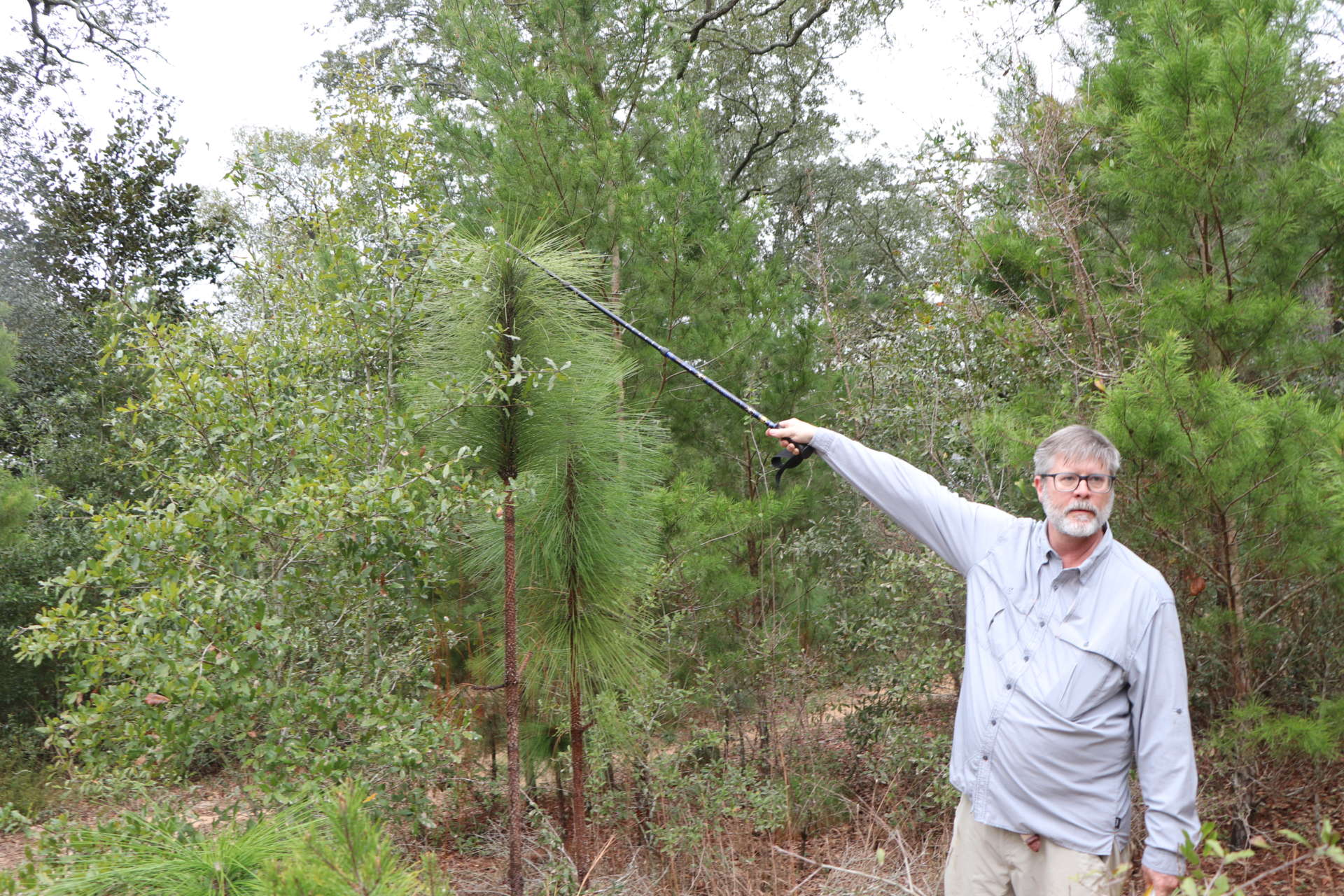 Carpenter Creek and Bayou Texar Watershed Management Plan - SCAPE