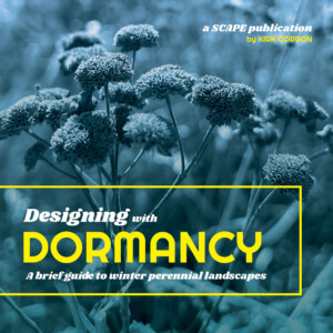 250221_Designing with Dormancy